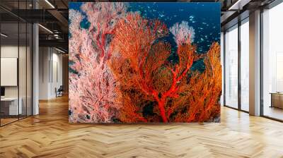 Beautiful, colorful tropical coral reef at the Surin Islands (Richelieu Rock) Wall mural