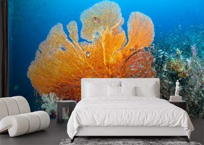 Beautiful and colorful Seafan (Gorgonian Fan coral) on a tropical coral reef Wall mural