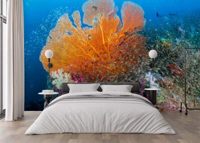 Beautiful and colorful Seafan (Gorgonian Fan coral) on a tropical coral reef Wall mural