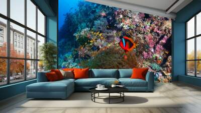 Clownfish on a tropical coral reef Wall mural