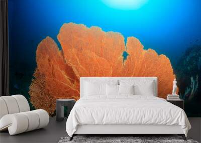 Huge fragile Gorgonian Sea Fans on a tropical coral reef Wall mural