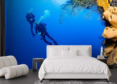 SCUBA divers exploring a deep, vertical coral wall. Wall mural