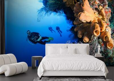 SCUBA divers exploring a deep, vertical coral wall. Wall mural