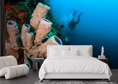 SCUBA divers swim past a tube sponge on a reef wall Wall mural