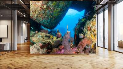 Small underwater cave on a tropical coral reef Wall mural