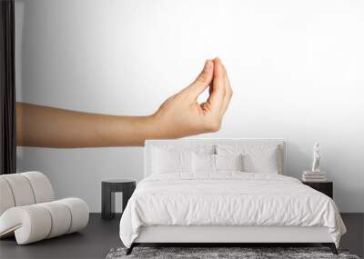 Close up of Italian hand gesture isolated with white background. I want to eat hand sign Wall mural