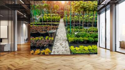 Garden shop. A row of plants for landscape design Wall mural