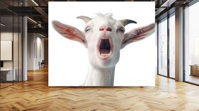 A goat with its mouth open and its eyes wide open. The goat is looking at the camera and he is surprised or scared Wall mural