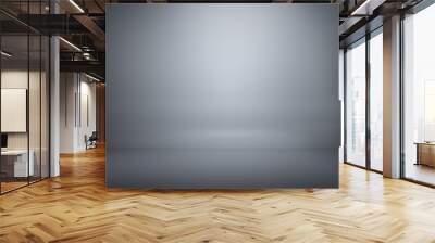 Stylish grey shades backdrop with copyspace for presentation or your company logo. 3D rendering, mock up Wall mural