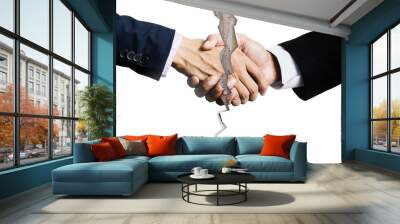 business success concept with business man handshake with meeting prople blur background Wall mural