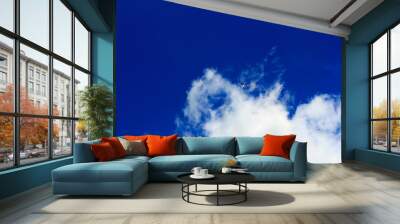 Airplane in the sky  Wall mural