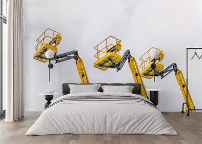 Basket of forklifts or crane for industrial construction
 Wall mural