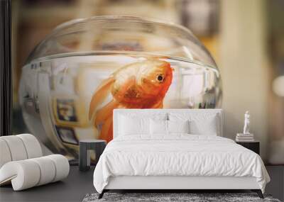 fish die in clear glass. Wall mural