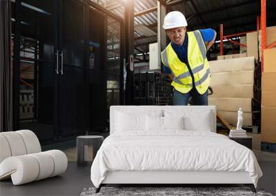 Portrait, Tired millennial Asian male warehouse worker pulling a pallet truck, suffering from back pain, working in warehouse. Wall mural