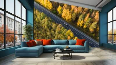 A car drives along a forest autumn road, aerial view Wall mural