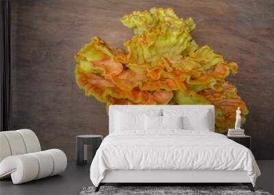 Laetiporus sulphureus Sulfur Shelf mushroom Wall mural