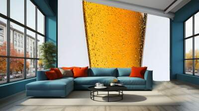 Close-up of a cold beer glass Wall mural