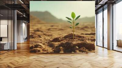 Small green sprouts grow in the desert. Wall mural