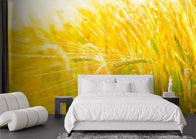 wheat field Wall mural