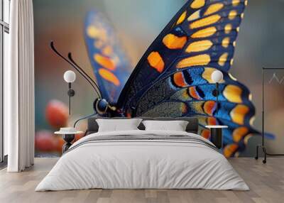 a butterfly  Wall mural