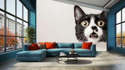 Black and white cat with a surprised expression, eyes wide open in disbelief, space for text on the left Wall mural