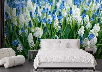 Flowers spring background Wall mural