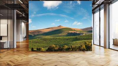 Vineyard on slope. Beautiful landscape of Sicily summer countryside in Italy. Wall mural