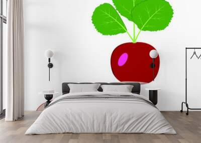 Radish. Isolated vector image on a white background. Clipar Wall mural