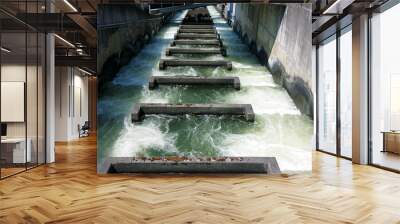 fish ladder at Bonneville Dam Wall mural