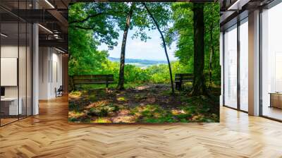 Two benches looking out over a Mountain View.  Wall mural