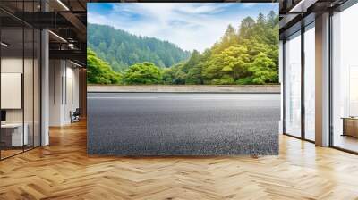 Asphalt road side view with forest. Wall mural