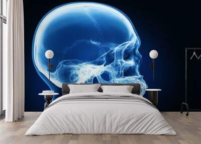 X-ray of the skull of the head Wall mural