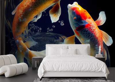 two koi swimming underwater Wall mural