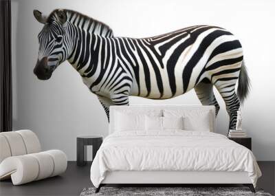 zebra isolated on white Wall mural