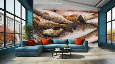 Fresh catch of redfish and black drum from Barataria Bay fishing trip Wall mural