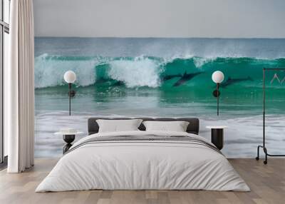 dolphin surfing waves on a beach Wall mural