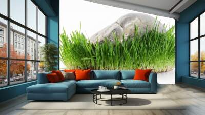 green grass and rock stone and grass isolated Wall mural