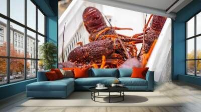 Live east coast rock lobster fishing in australia. Crayfish on a boat caught in lobster pots Wall mural