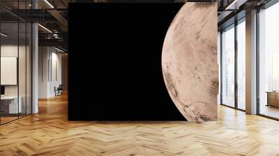 Planet In Space Wall mural