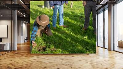 regenerative organic farmer, taking soil samples and looking at plant growth in a farm. practicing sustainable agriculture  Wall mural