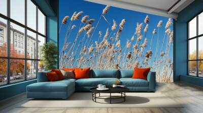 Reeds and grass against blue sky background Wall mural