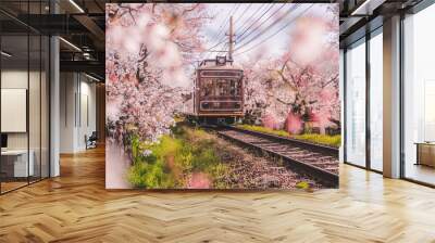 View of Japanese Kyoto local train traveling on rail tracks with flourishing cherry blossoms along the railway in Kyoto, Japan. Sakura season, spring  Wall mural