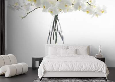 White orchid in vase reflection Wall mural