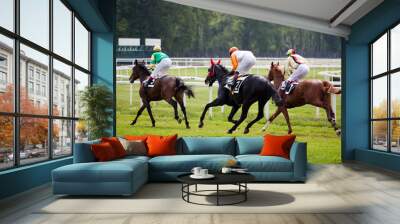 horse at gallop race at hippodrome Wall mural