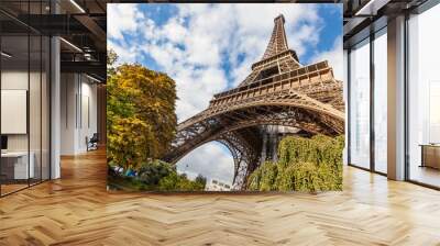 tour eiffel in paris Wall mural