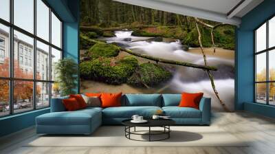 Fluss 2 Wall mural