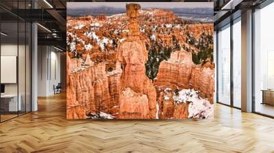 park state, Bryce National Park, Bryce Canyon, Grant Canyon Wall mural