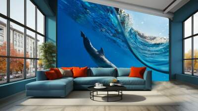 a dolphin swimming underwater Wall mural