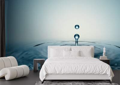 Clear Water drop with circular waves Wall mural