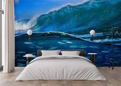 Tropical fish under ocean wave in sea water Wall mural